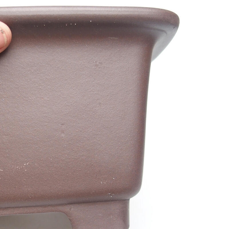 Bol pour bonsaïs 20 x 20 x 12,5 cm, brun