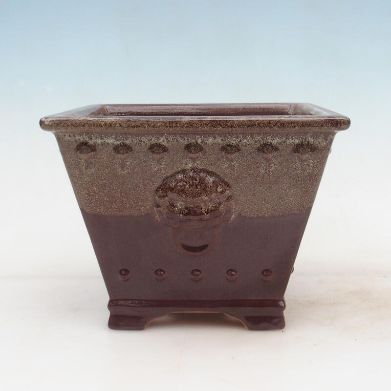 Bol pour bonsaïs 20 x 20 x 15,5 cm, brun