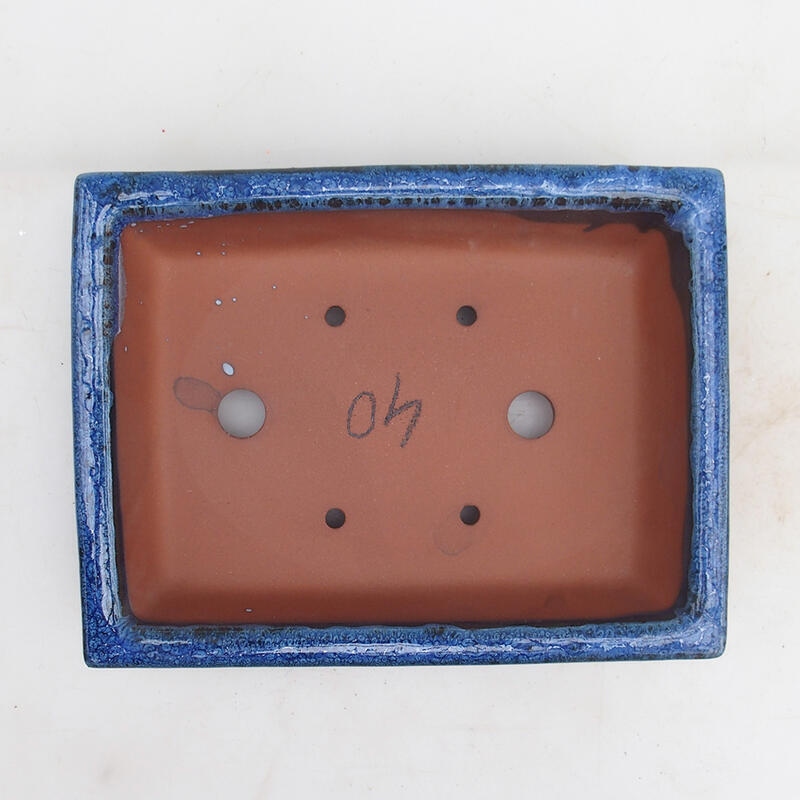 Bol à bonsaï 21,5 x 16 x 5 cm, couleur bleu