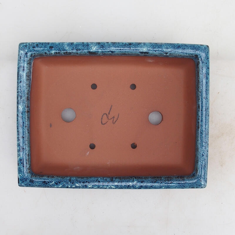 Bol pour bonsaï 21,5 x 16 x 5 cm, couleur bleu-blanc