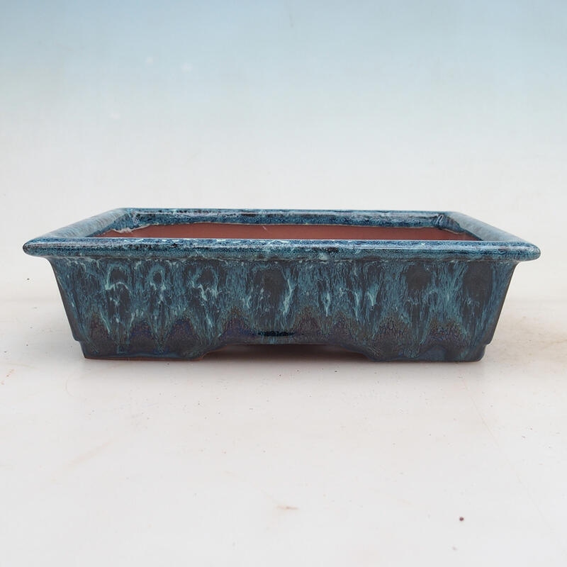 Bol pour bonsaï 21,5 x 16 x 5 cm, couleur bleu-blanc