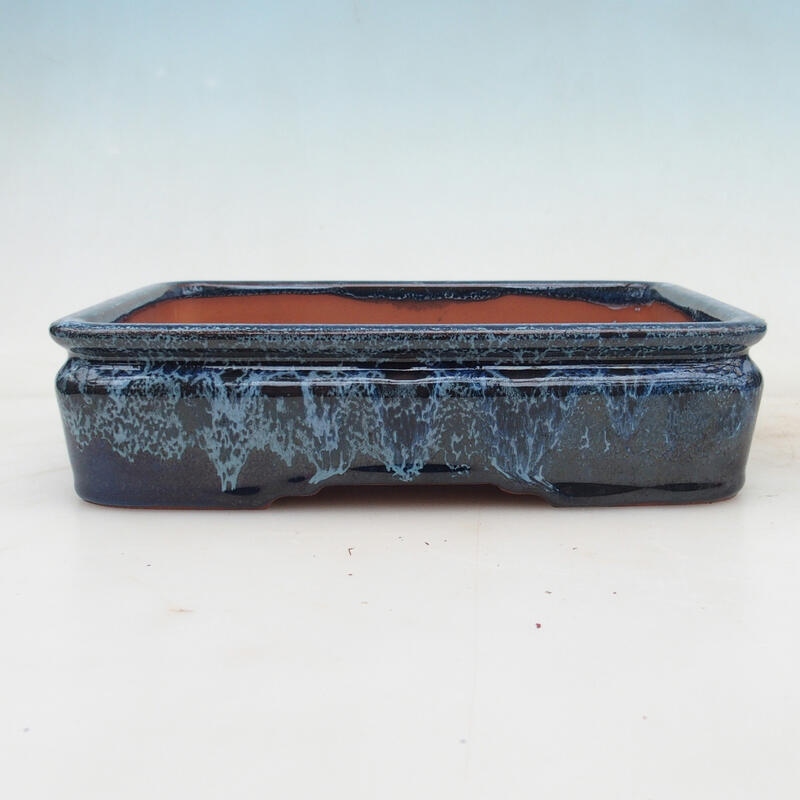 Bol bonsaï 21,5 x 17 x 5,5 cm, couleur bleu-blanc