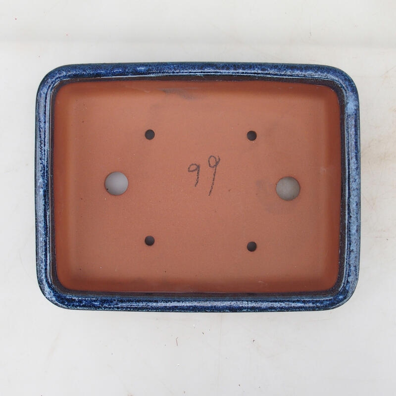 Bol bonsaï 21,5 x 17 x 5,5 cm, couleur bleu-blanc