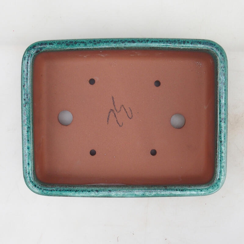 Bol pour bonsaï 21,5 x 17 x 5,5 cm, vert