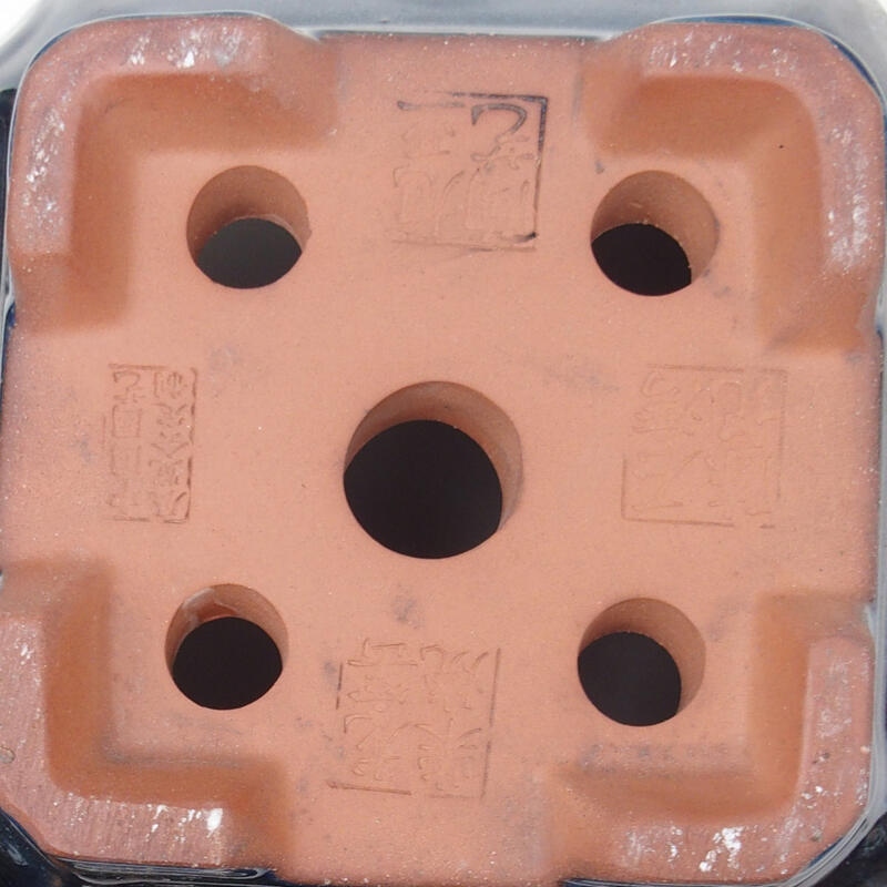 Bol à bonsaï 21,5 x 21,5 x 15 cm, couleur bleu