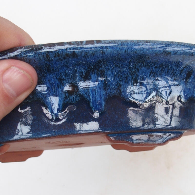 Bol à bonsaï 21 x 14 x 5 cm, couleur bleu