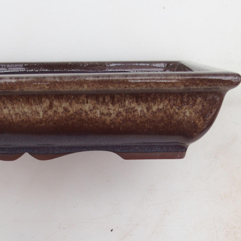 Bol pour bonsaï 21 x 16,5 x 4,5 cm, brun