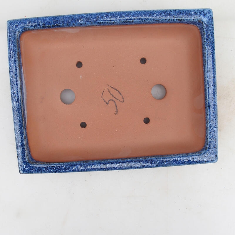 Bol à bonsaï 21 x 16,5 x 4,5 cm, couleur bleu