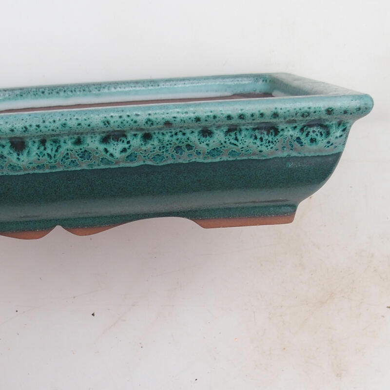 Bol pour bonsaï 21 x 16,5 x 4,5 cm, vert