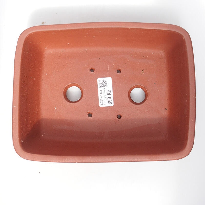 Bol pour bonsaï 21 x 16 x 7,5 cm, couleur brique