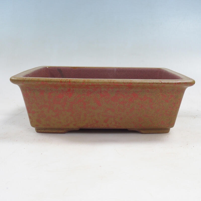 Coupe bonsaï 21 x 17 x 6,5 cm, couleur ocre