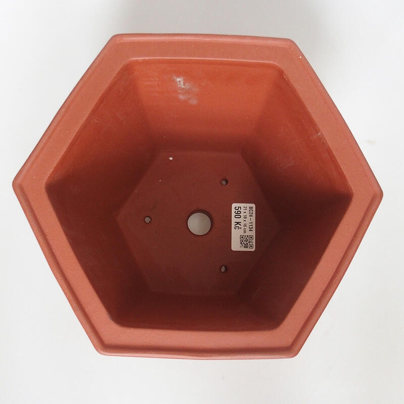 Bol bonsaï 21 x 18 x 16 cm, couleur brique