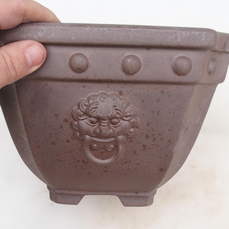 Bol pour bonsaï 21 x 21 x 15,5 cm, couleur naturelle