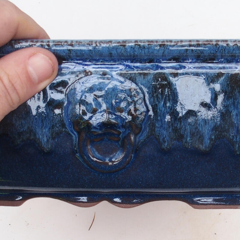 Bol à bonsaï 21 x 21 x 9 cm, couleur bleu