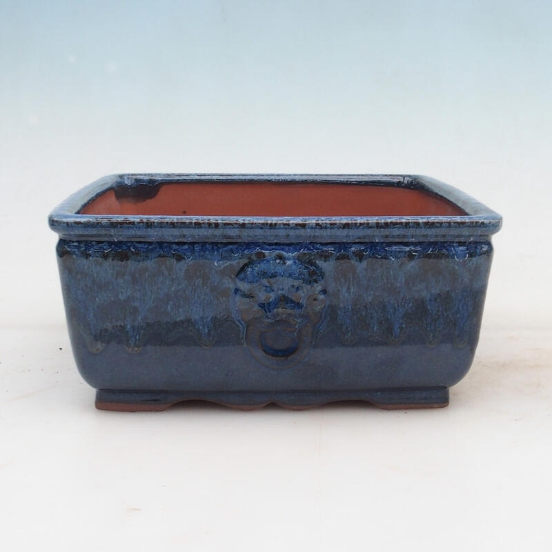 Bol à bonsaï 21 x 21 x 9 cm, couleur bleu