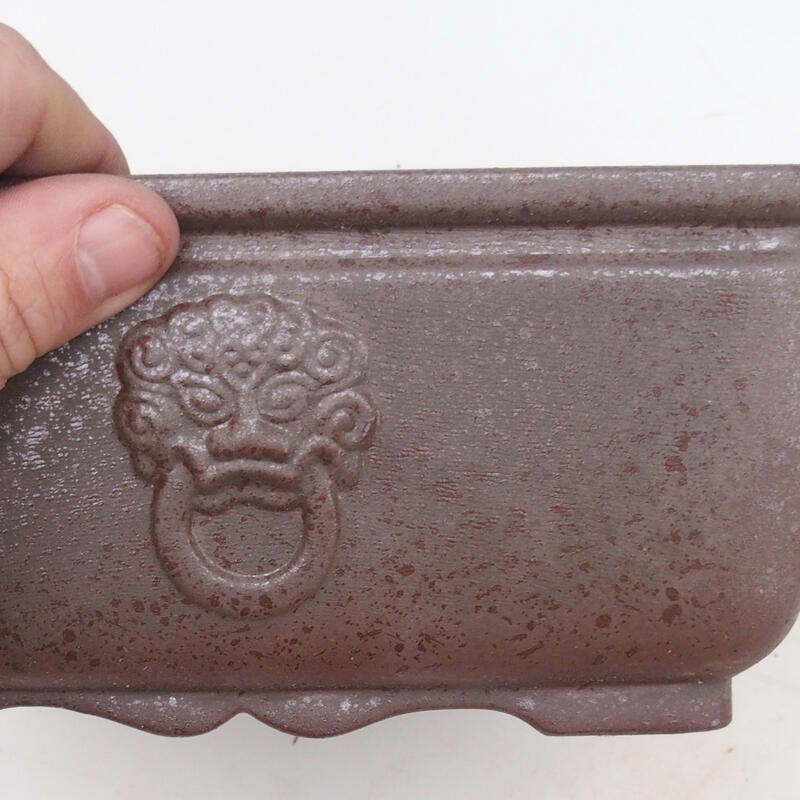 Bol pour bonsaï 21 x 21 x 9 cm, couleur naturelle