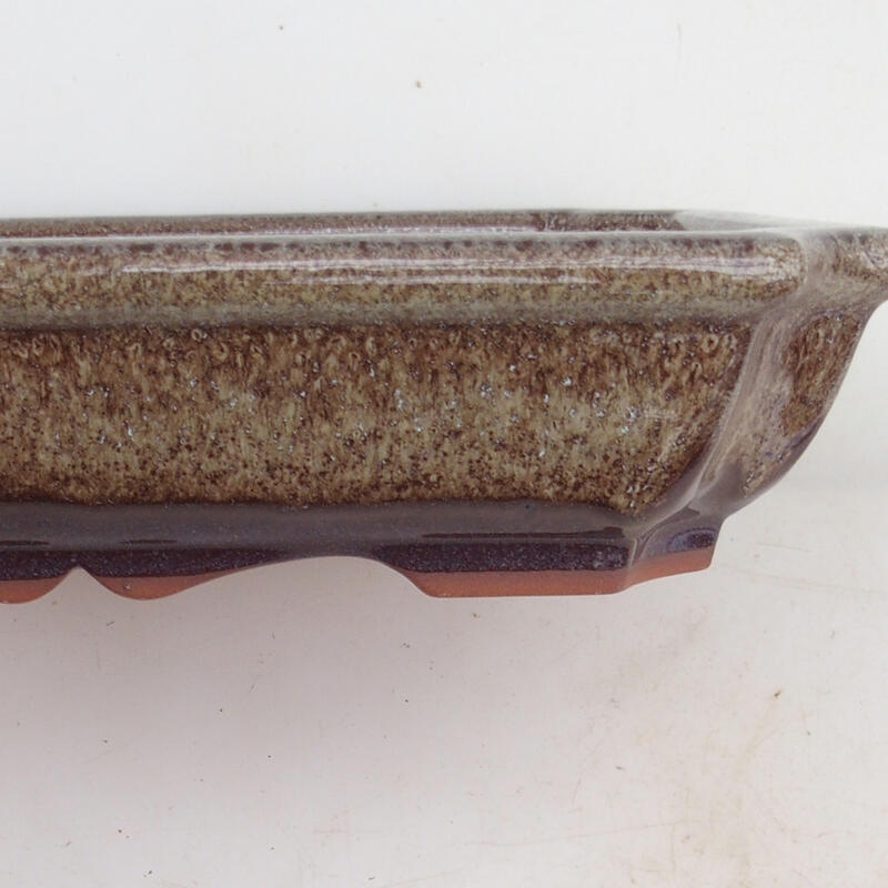 Bol pour bonsaï 22 x 16,5 x 4 cm, brun