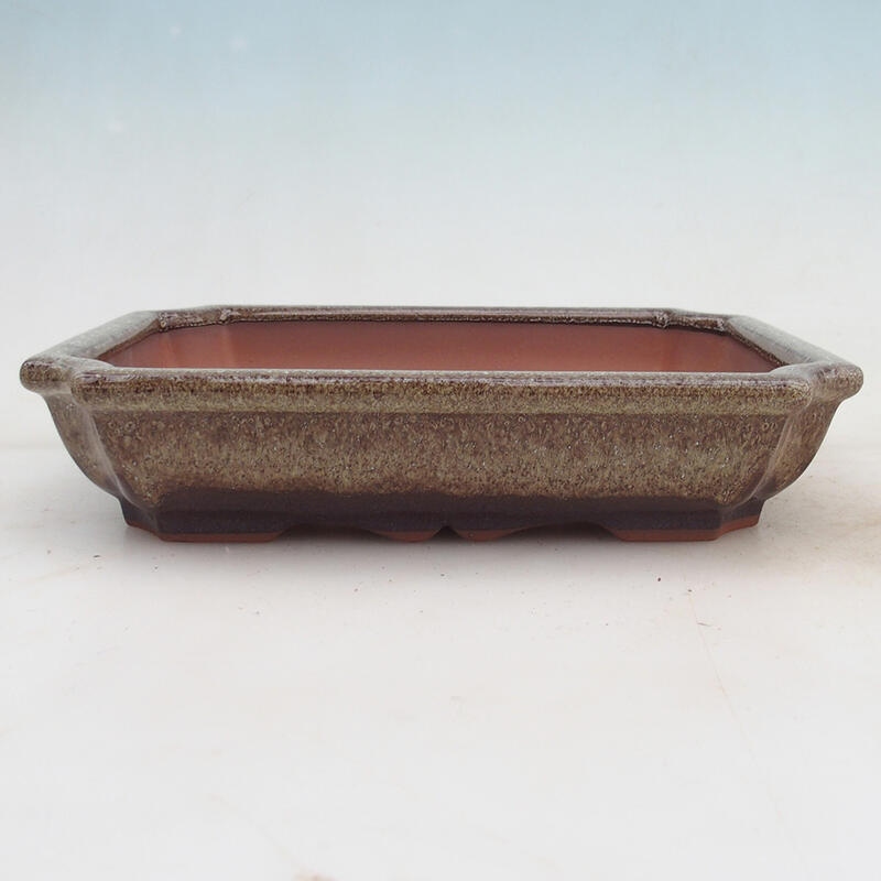 Bol pour bonsaï 22 x 16,5 x 4 cm, brun