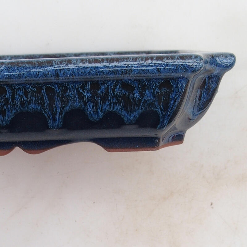 Bol pour bonsaï 22 x 16,5 x 4 cm, couleur bleu