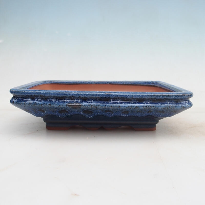 Bol bonsaï 22 x 17 x 5,5 cm, couleur bleu