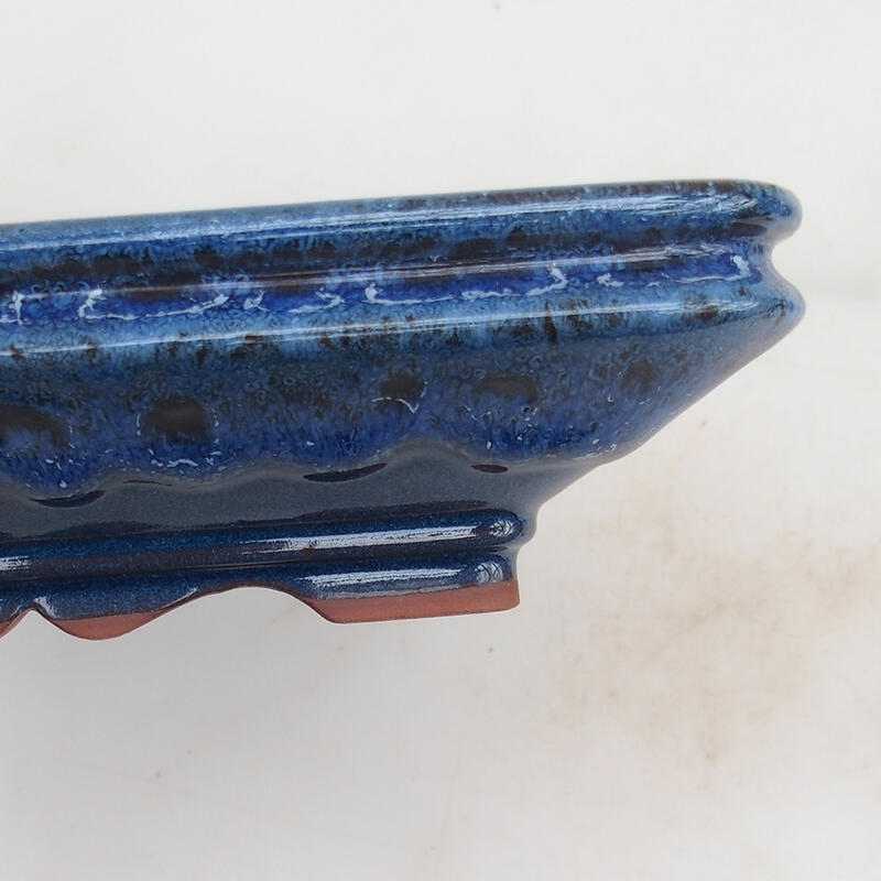 Bol bonsaï 22 x 17 x 5,5 cm, couleur bleu
