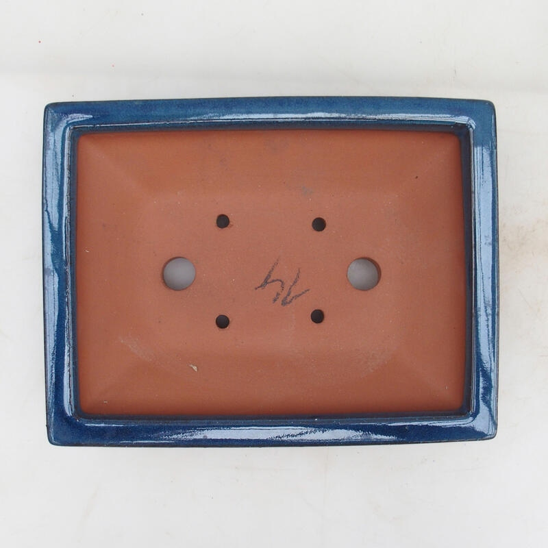 Bol bonsaï 22 x 17 x 5,5 cm, couleur bleu