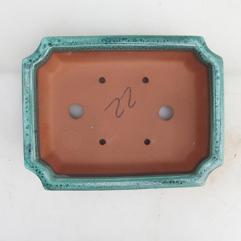 Bol pour bonsaï 22 x 17 x 5,5 cm, vert