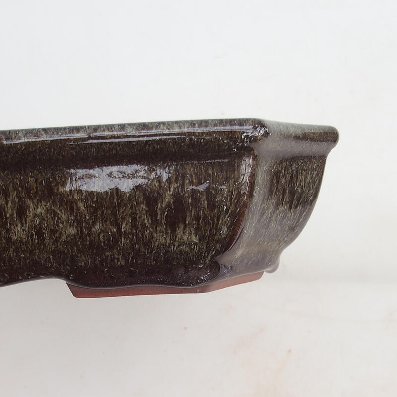 Bol pour bonsaï 23 x 17,5 x 4,5 cm, brun