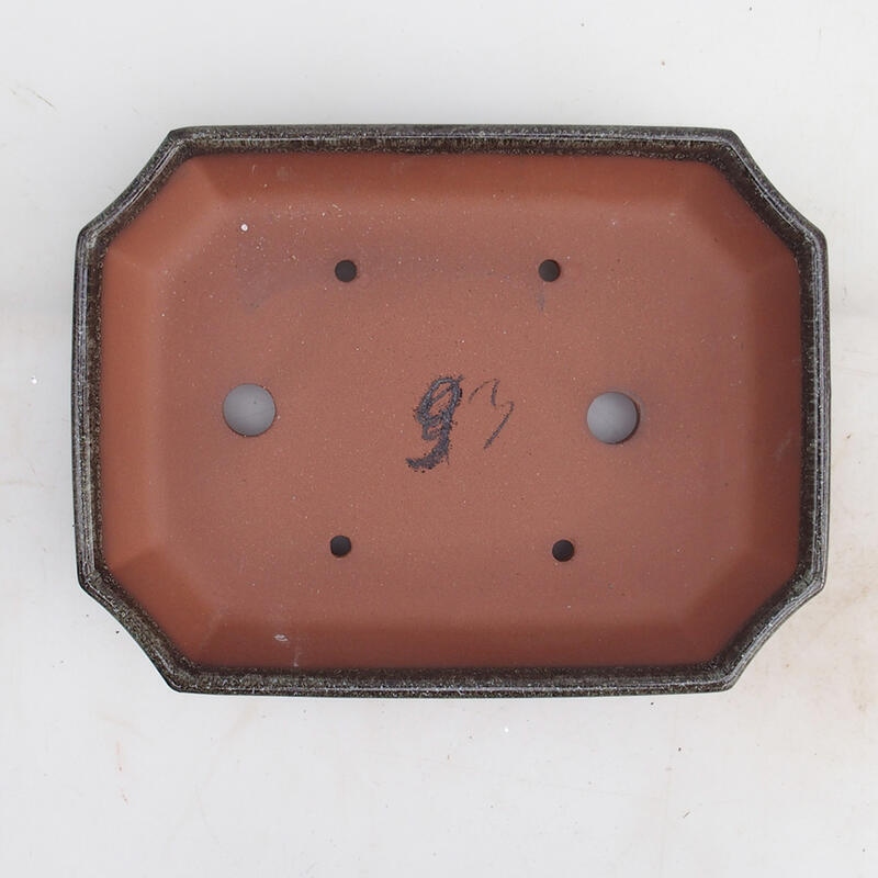 Bol pour bonsaï 23 x 17,5 x 4,5 cm, brun