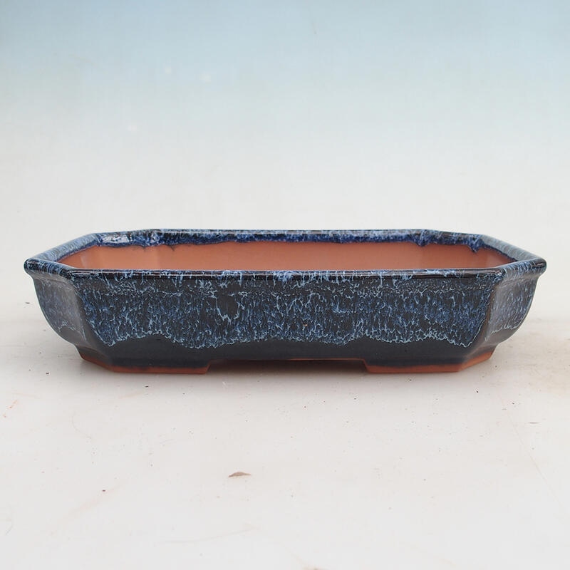 Bol à bonsaï 23 x 17,5 x 4,5 cm, couleur bleu