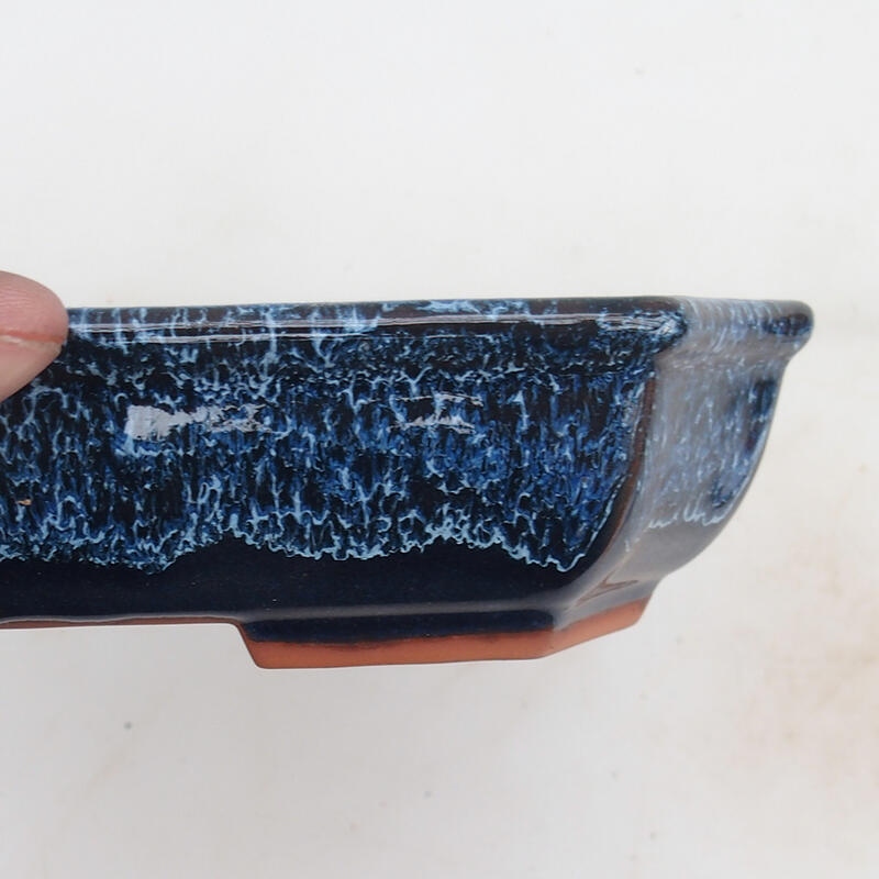 Bol à bonsaï 23 x 17,5 x 4,5 cm, couleur bleu