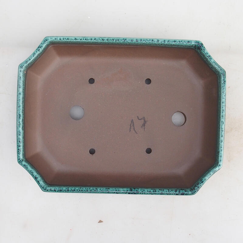 Bol pour bonsaï 23 x 17,5 x 4,5 cm, vert