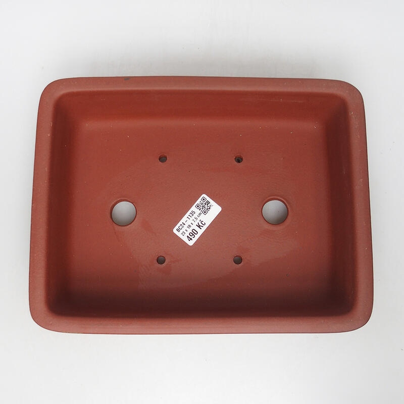 Bol bonsaï 23 x 18 x 7,5 cm, couleur brique