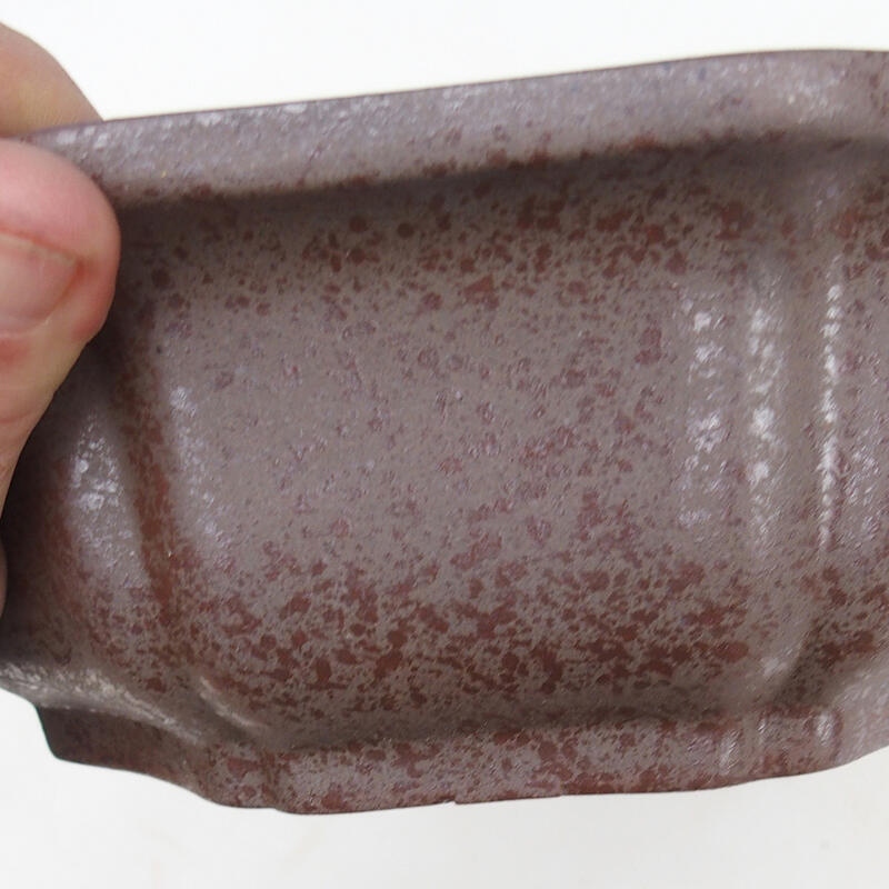 Bol pour bonsaï 23 x 23 x 7,5 cm, couleur naturelle