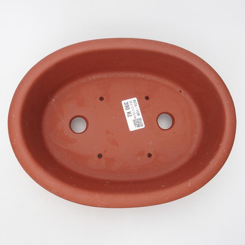 Bol bonsaï 24 x 18 x 8 cm, couleur brique