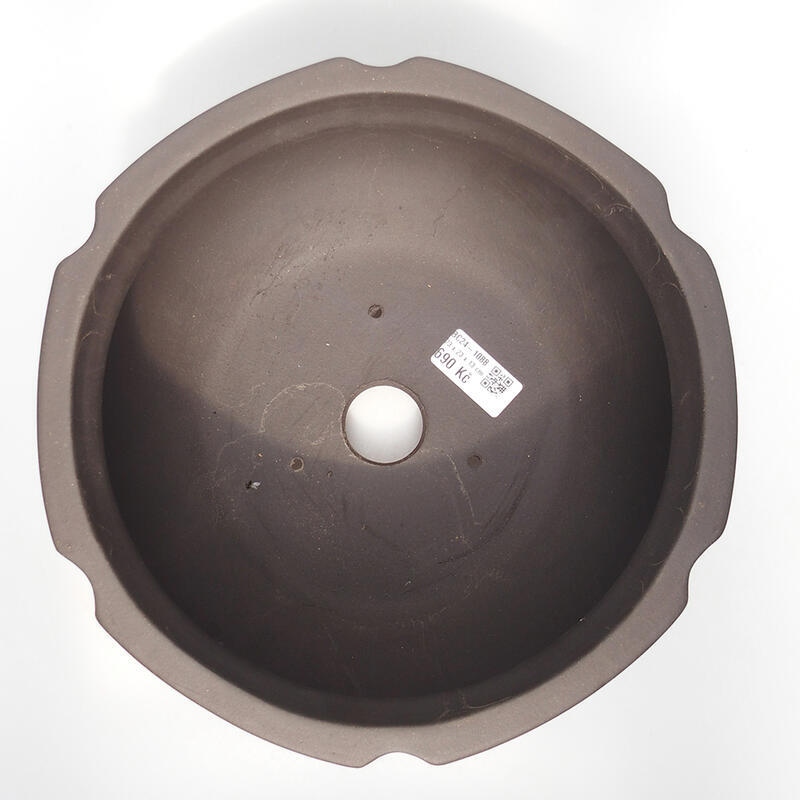 Bol pour bonsaïs 24 x 24 x 13,5 cm, brun