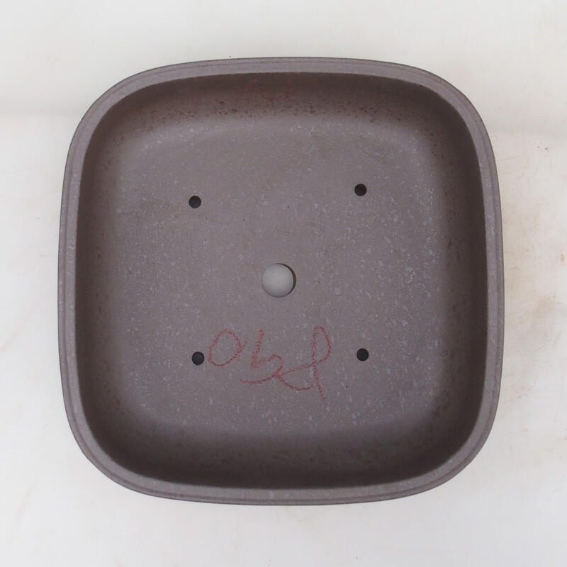 Bol bonsaï 24 x 24 x 7 cm, couleur naturelle