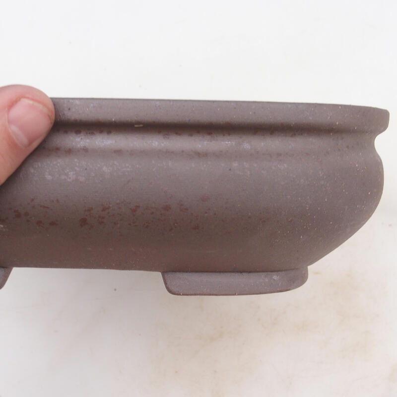 Bol bonsaï 24 x 24 x 7 cm, couleur naturelle