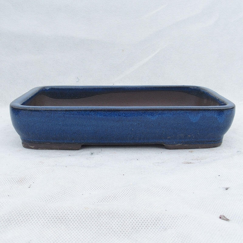 Bol à bonsaï 25 x 17 x 5 cm, couleur bleu