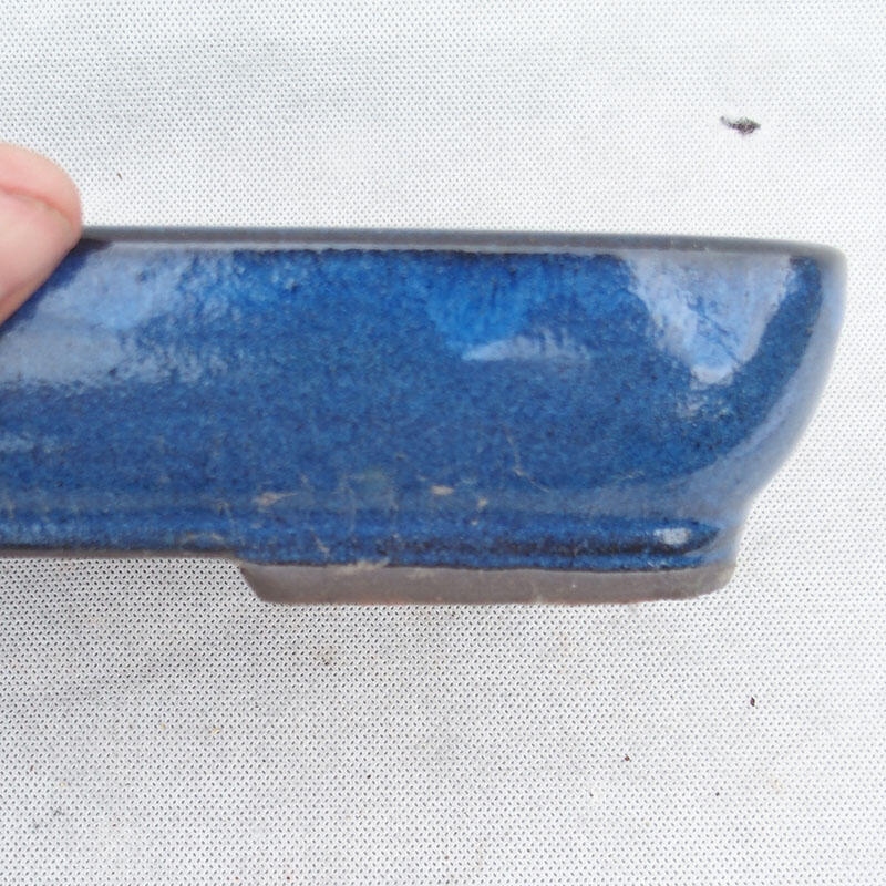 Bol à bonsaï 25 x 17 x 5 cm, couleur bleu