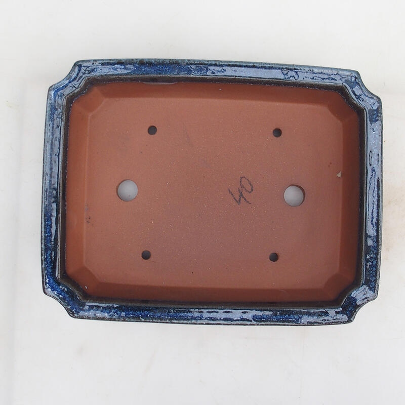 Bol pour bonsaïs 25 x 20 x 6 cm, couleur bleu