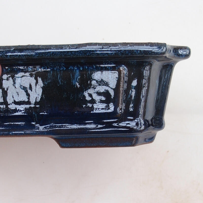 Bol pour bonsaïs 25 x 20 x 6 cm, couleur bleu