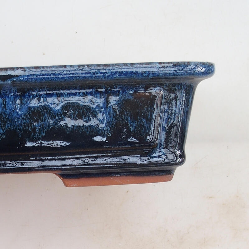 Bol pour bonsaïs 25 x 20 x 6 cm, couleur bleu