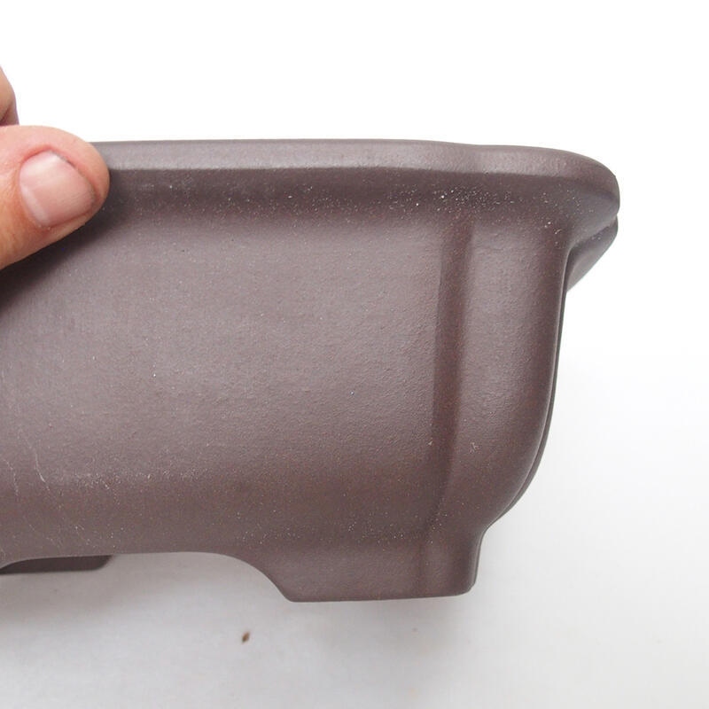 Bol pour bonsaï 25 x 21 x 9,5cm, brun