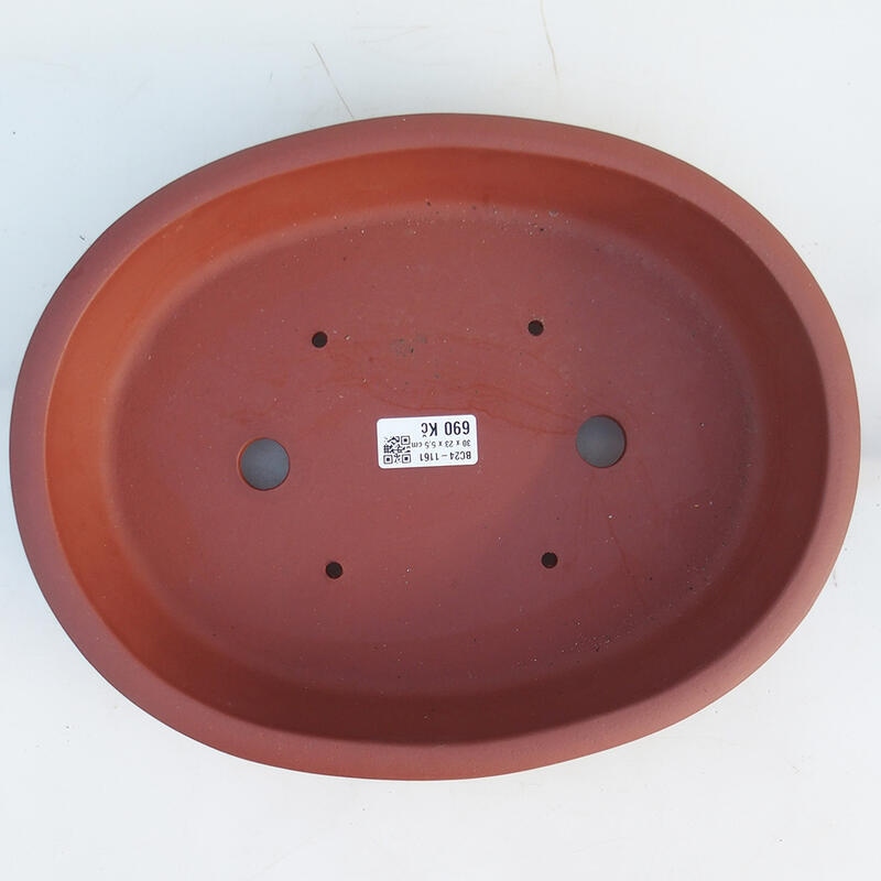 Bol pour bonsaï 30,5 x 24 x 6 cm, couleur brique