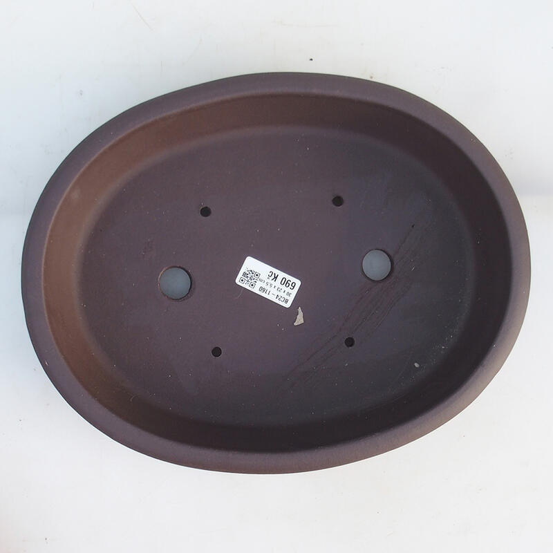 Bol pour bonsaï 30,5 x 24 x 6 cm, brun