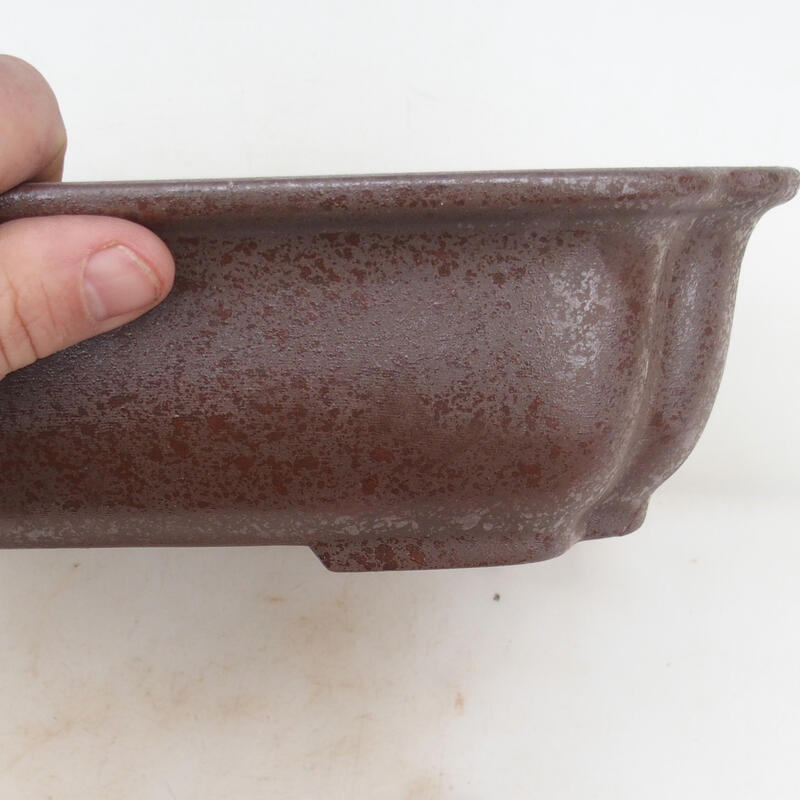 Bol pour bonsaï 30 x 24,5 x 8 cm, couleur naturelle