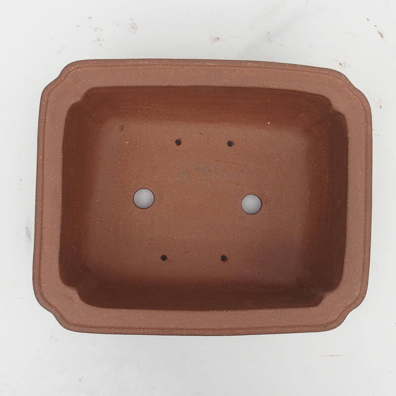 Bol pour bonsaï 30 x 24 x 12 cm - Qualité japonaise