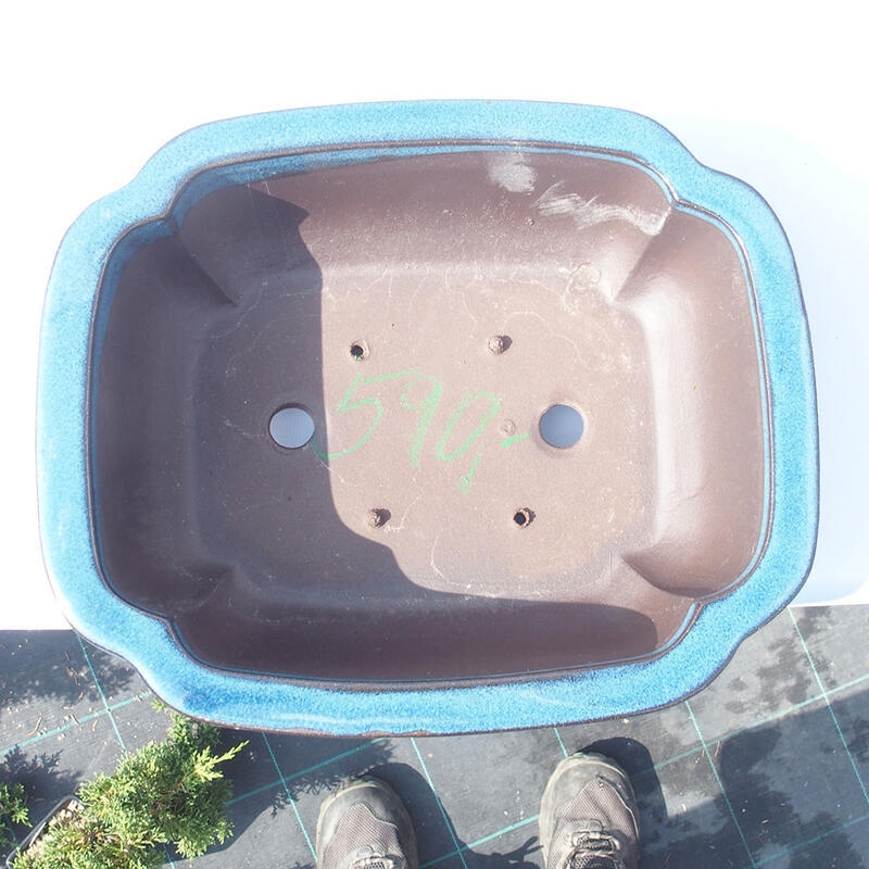 Bol pour bonsaï 30 x 25 x 10 cm bleu