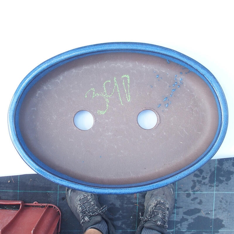 Bol à bonsaï 30 x 20 x 4,5 cm bleu